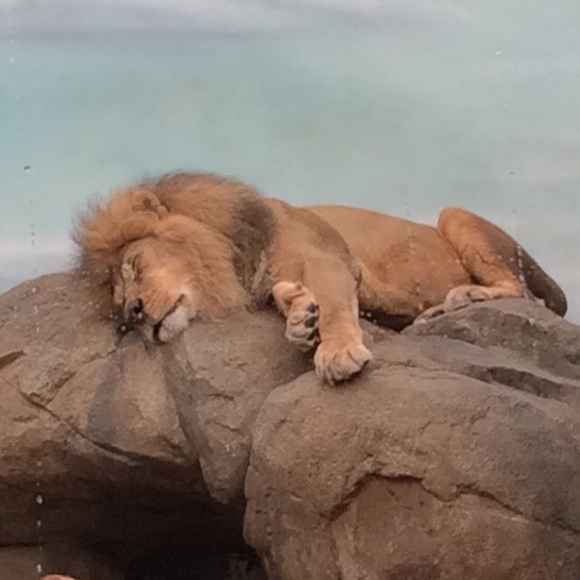 Meet your Posher, Jill - Picture 1 of 1